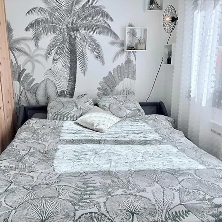 Апартаменты Dalikyda - La Jungle - Duplex - Proche De La Gare