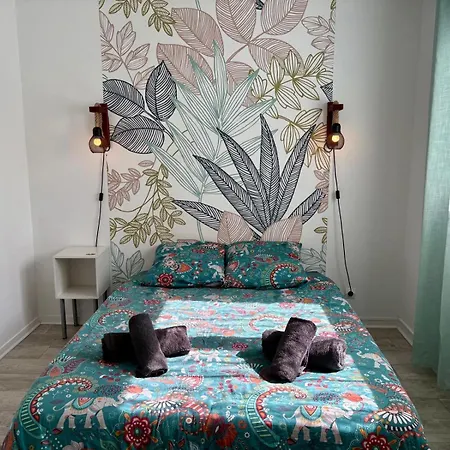 Dalikyda - La Jungle - Duplex - Proche De La Gare Appartamento *