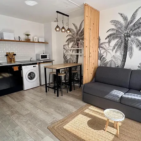 Dalikyda - La Jungle - Duplex - Proche De La Gare Apartamento *
