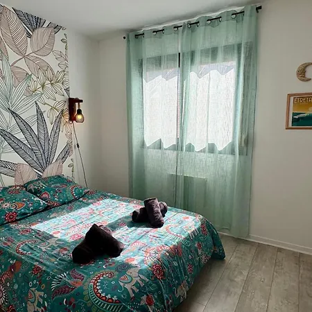 Dalikyda - La Jungle - Duplex - Proche De La Gare